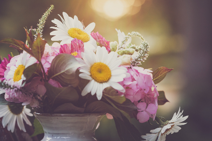 新濠官网全方位攻略与权威信息解读与更新动态