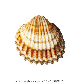 2025年好久开奖?最新时间表抢先看 2025年好久开奖?最新时间表抢先看