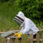 2025年体彩开奖日期及最新时间安排一览 9joeb4wog