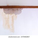 FAI68直播精彩赛事全程高能不容错过 9slxjumnr