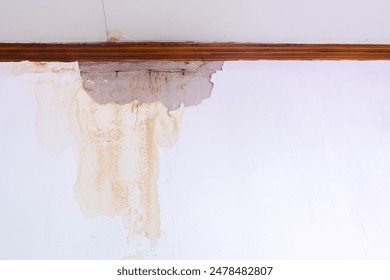 FAI68直播精彩赛事全程高能不容错过 FAI68直播精彩赛事全程高能不容错过