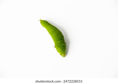 2025年度开奖直播盛典即将震撼开启 2025年度开奖直播盛典即将震撼开启