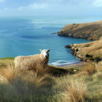 2025年全年完整版开奖记录查询与数据汇总j blr29x0q