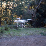 2025年双色球全年开奖时间完整时刻表 dxnajpr4