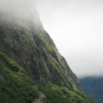 2025年全年完整开奖记录汇总与查询 sf5g5rp