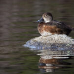 2025年L开奖盛典:荣耀揭晓时刻 x4kz9gfhj